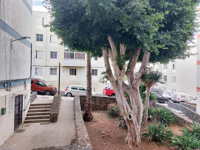 Piso listo para vivir junto a Los Majuelos y el tranvía — 14