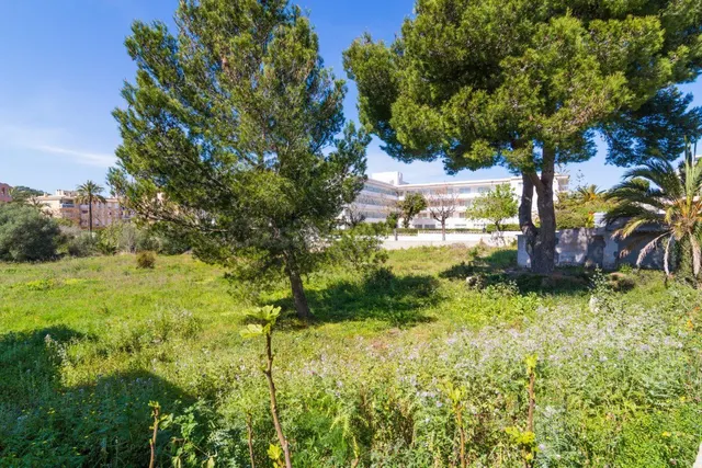 Parcela 60m² en venta - Cala Ratjada - foto 3