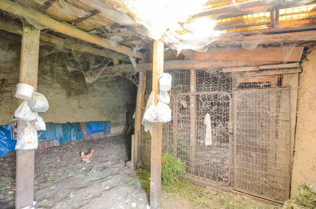 Urbis te ofrece una casa con terreno en venta en Doñinos de Salamanca, Salamanca. — 15