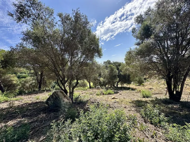 Parcela en venta - Sotogrande - Alto - foto 3
