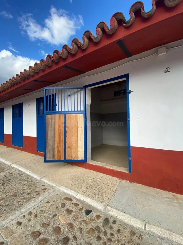 FINCA RÚSTICA JUNTO A LA PUEBLA DEL RÍO. VP028 - foto 4