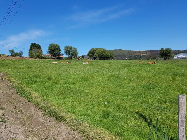 SE VENDE FINCA RÚSTICA EN CAMPELO, VALDOVIÑO - foto 5