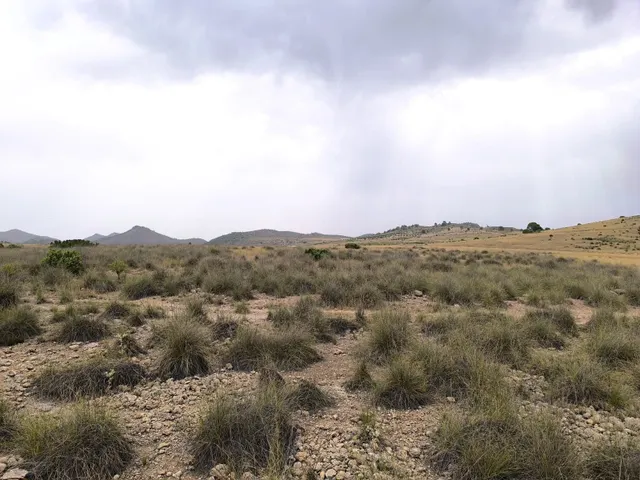 Parcela en venta - Ayuntamiento — 15