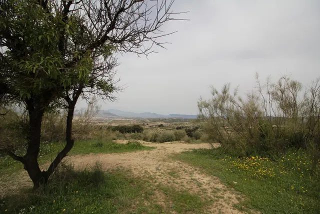 FINCA EN CORTIJO SAN JERÓNIMO (BARTODANO) — 32