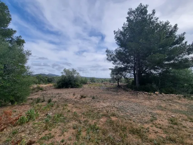 Finca Rústica con construcción de mas de 200m2 para reformar - foto 5