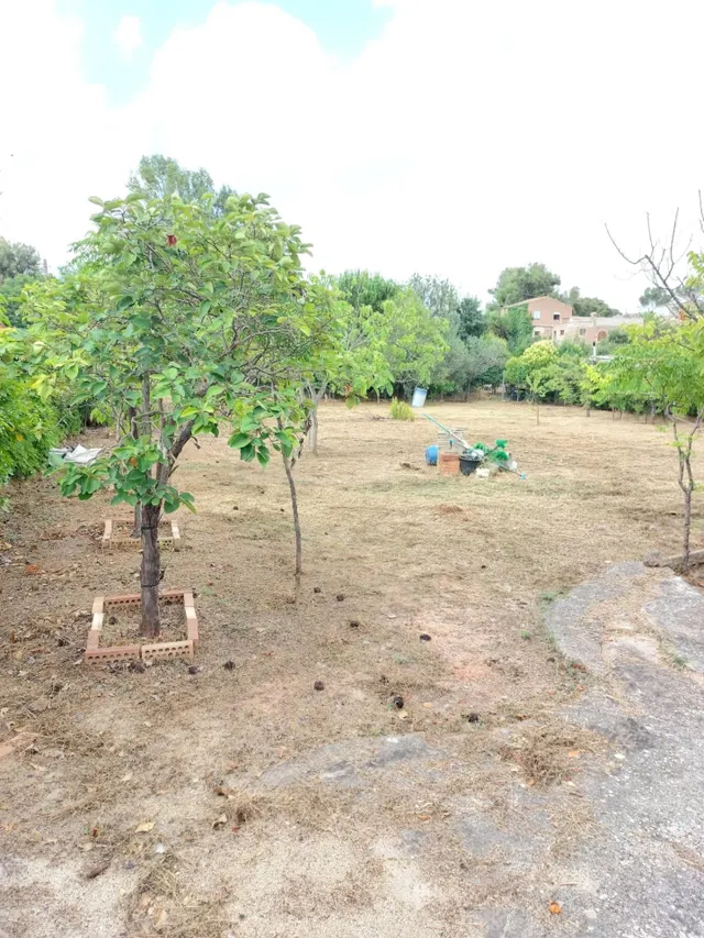 TERRENO LLANO Y ESQUINERO, CON MURO Y AGUA - foto 5