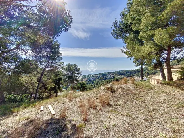 PARCELA EN VENTA EN CALA SANT FRANCESC - foto 4