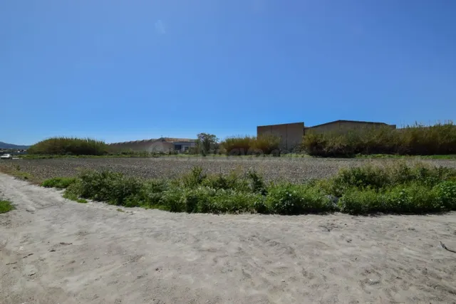 VENTA DE FINCA EN MOTRIL - foto 5