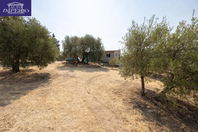 Encanto rústico con casita y olivos en Moraleja de Zafayona 🌿 — 31