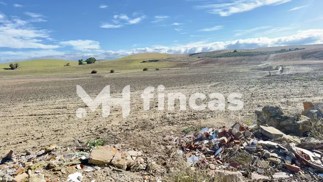 Fincas agrícolas en El Palmar de Troya y Utrera – Tierra cal - foto 5