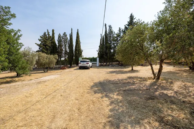 Encanto rústico con casita y olivos en Moraleja de Zafayona — 40
