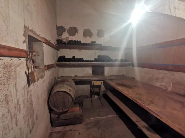 CASA CENTRICA EN ALMENAR — 21
