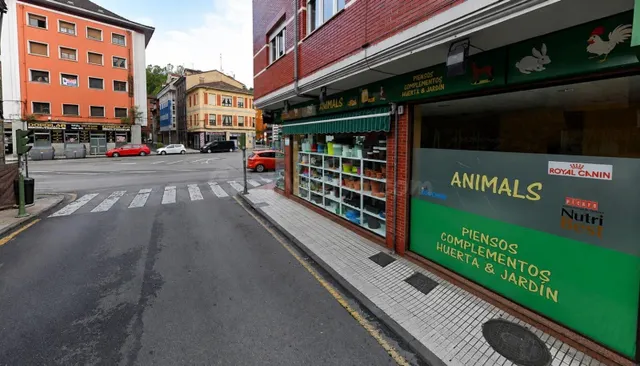 LOCAL COMERCIAL + SÓTANO EN SAMA DE LANGREO - foto 2