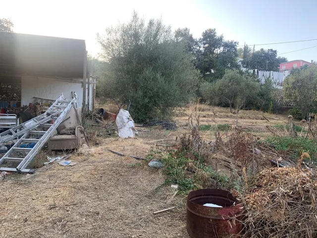 PARCELA ZONA DOÑA MANUELA — 10