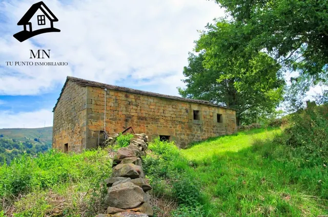 CABAÑA CON FINCA DE 10.000M2 EN LUENA - foto 5