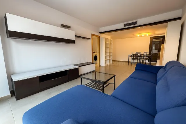 PRIMER PISO CON TERRAZA Y PARKING - ZONA AVENIDAS - foto 3