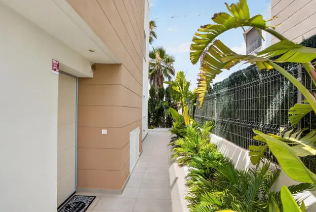 Villa de 3 dormitorios en Guardamar del Segura — 42