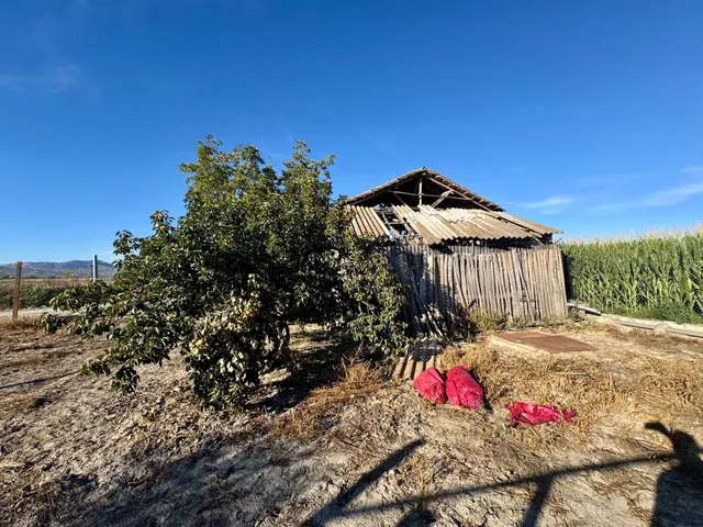TERRENO RÚSTICO EN VENTA EN CHAUCHINA – 3.146 m2 CON POZO Y  - foto 4