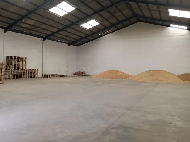 NAVE INDUSTRIAL EN ALQUILER EN JEREZ DE LA FRONTERA - foto 3