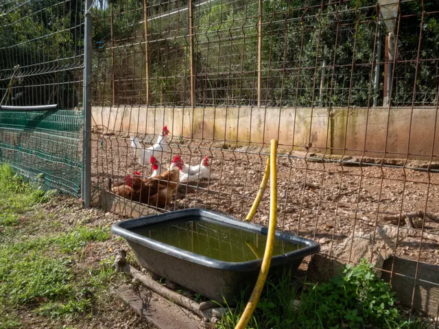 Finca Rústica de 20.000m2 con vivienda en venta. — 49
