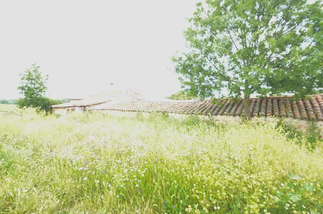 Urbis te ofrece una casa con terreno en venta en Doñinos de Salamanca, Salamanca. — 19
