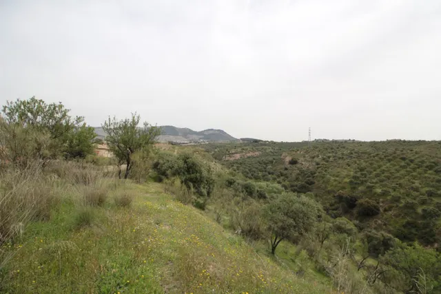 FINCA EN CORTIJO SAN JERÓNIMO (BARTODANO) — 28