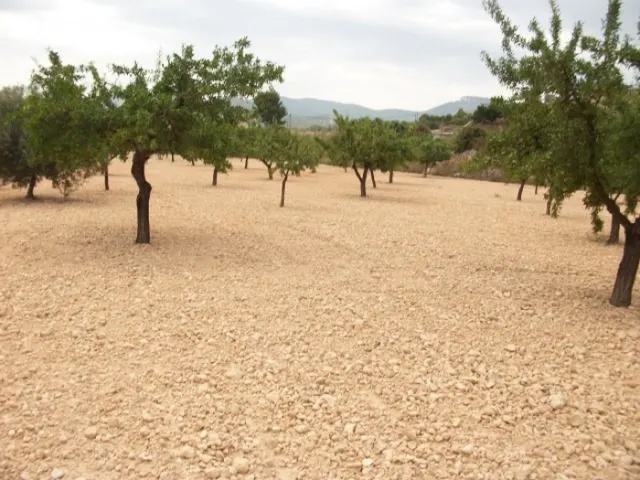 Parcela de 10.000 metros rural — 3
