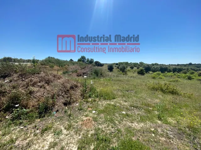 TERRENO EN ARGANDA DEL REY - foto 5