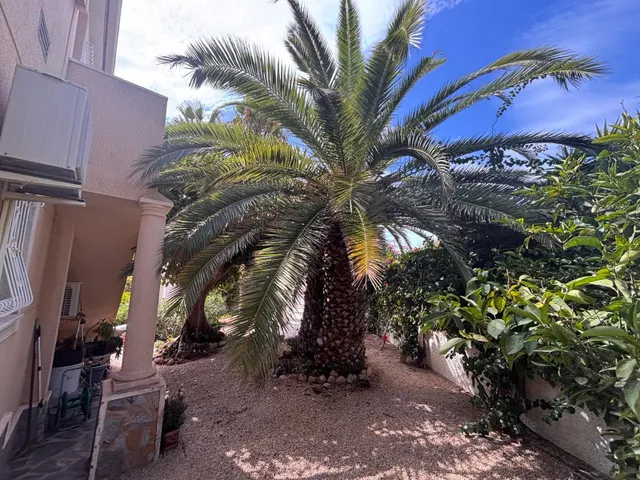 Villa 3 habitaciones 115m² en venta - Doña Pepa — 15