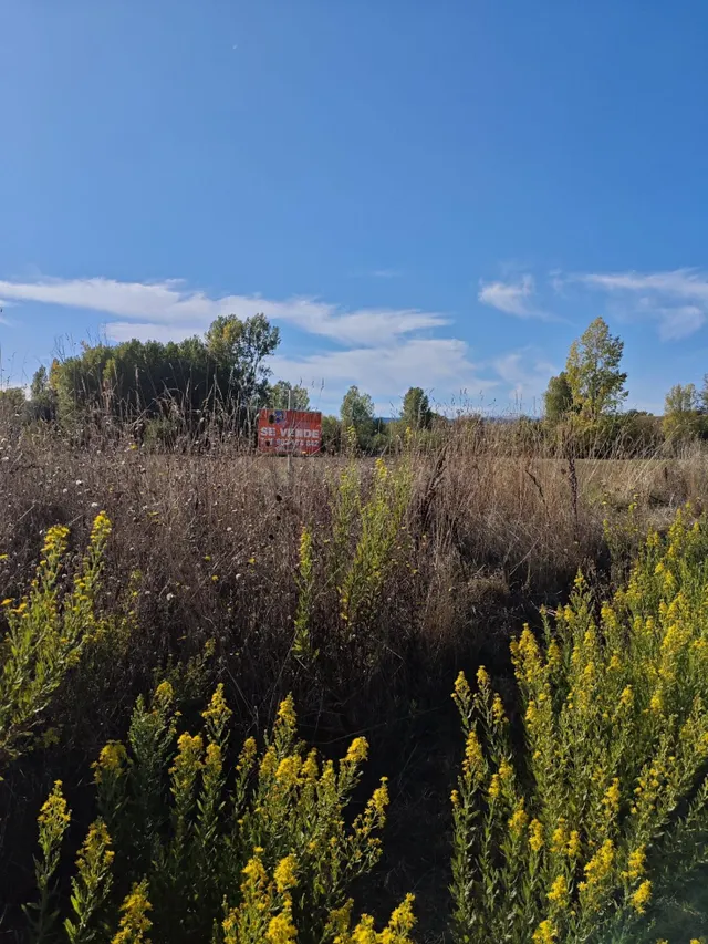 Venta parcela en Cubillos del Sil - foto 4
