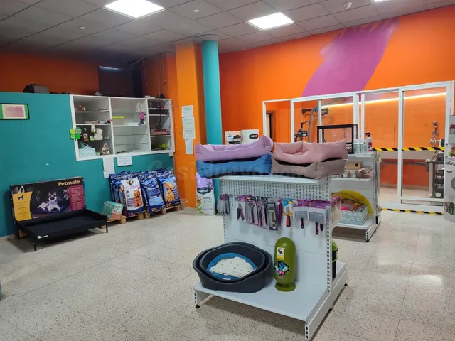 LOCAL COMERCIAL ACONDICIONADO Y MUY CENTRICO - foto 4