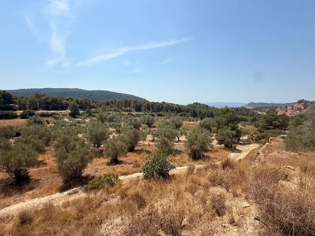 ¡GRAN OPORTUNIDAD: SE VENDE PARCELA CON CASETA DE PIEDRA Y O - foto 4