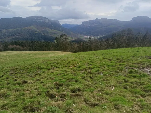 SE VENDE FINCA EN LA SIERRA (RAMALES DE LA VICTORIA-CANTABRI - foto 2