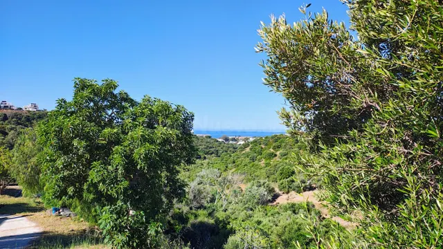 Casa Solar 4 habitaciones 290m² en venta - Cabopino-Artola - foto 2