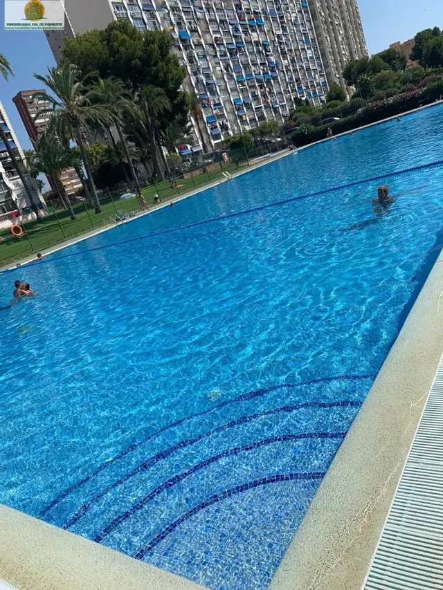 Estudio con piscina y vistas despejadas junto al centro de Benidorm — 12