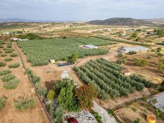 ESPECTACULAR FINCA DE 2,2 HECTÁREAS: PRIVACIDAD, NATURALEZA  - foto 4
