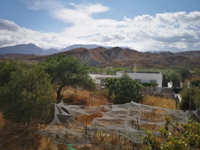 Finca rústica en Santa Cruz de Marchena - foto 2