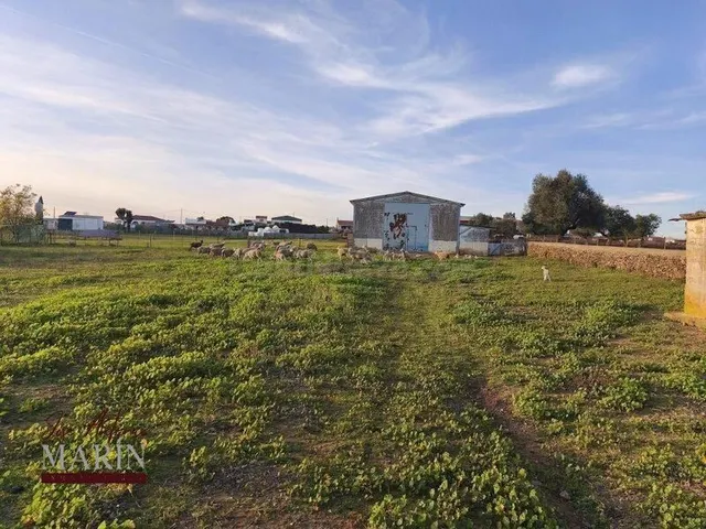 FINCA RÚSTICA CON CHALET Y MÁS - NATURALEZA, AMPLITUD Y CALI - foto 5