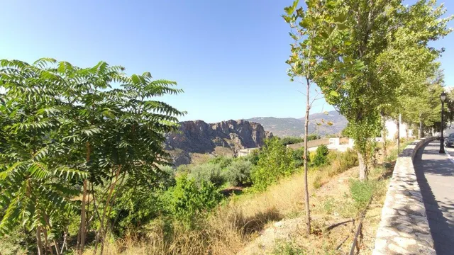 PARCELA URBANA EN LANJARON — 38