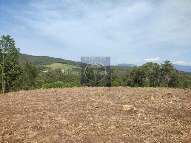 Terreno rusticos de 6164 M2 en Pexegueiro Tui