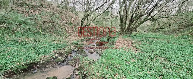 CABAÑA CON ARROYO,  PROYECTO Y CAMBIO DE USO EN LLANOS. PENAGOS — 29