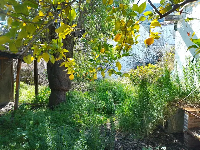 Finca ideal para construir tu casa. - foto 2