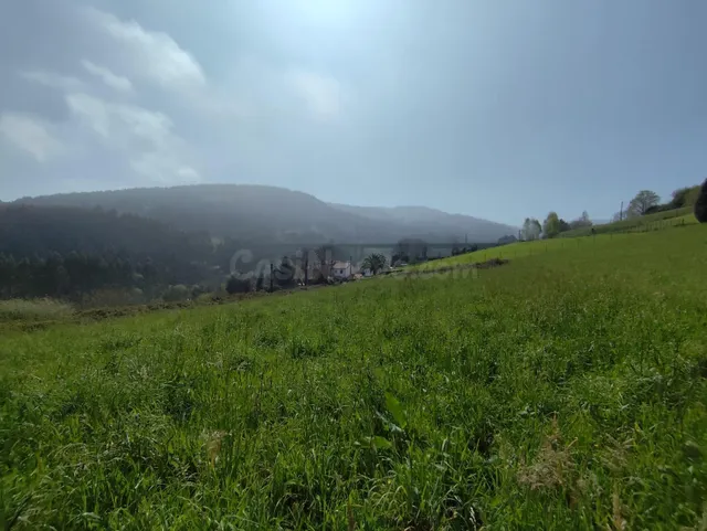 Parcela 1560m² en venta - Cudillero - foto 5