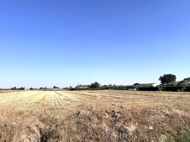 PARCELA RÚSTICA EN LA ZONA CAMINO DE LOS RANCHOS - foto 2