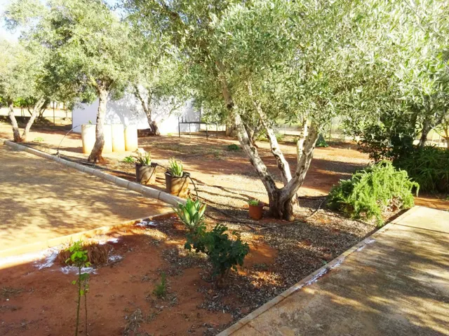 VIVIENDA TURISTICA RURAL — 10