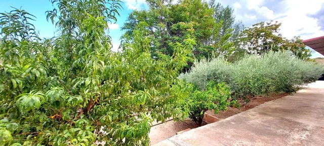 Villa 3 habitaciones 800m² en venta - Rincón de Seca — 38
