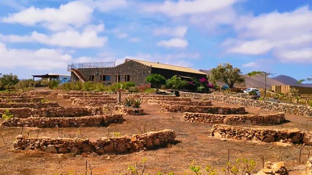 Finca de Lujo con Viñedo, Bodega Subterránea y Vistas Panorámicas al Atlántico — Fuerteventura — 10