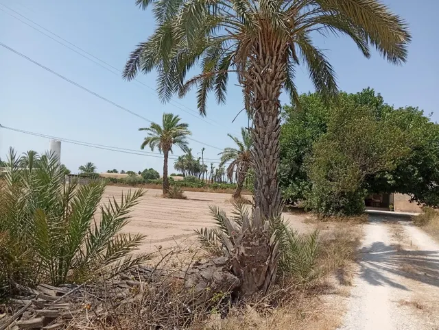 Casa de campo 300m² en venta - La Hoya-Daimes-El Derramador - foto 3