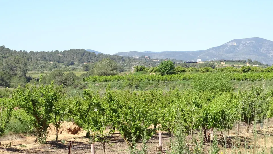 Terreno en venta en Vilamarxant