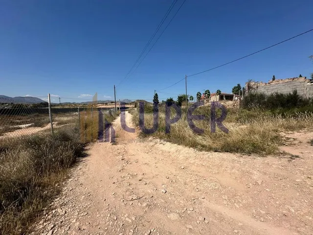 SE VENDE MAGNÍFICA FINCA RÚSTICA CON PARTE URBANA EN EL MORA - foto 5